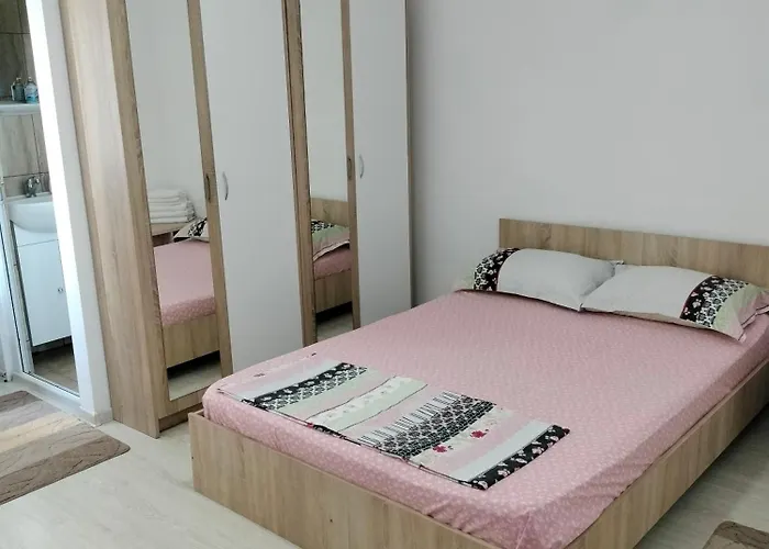 Kociu's House ゲストハウス コンスタンツァ